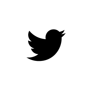 link twitter